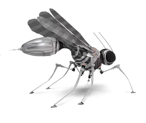 bird  insect  drones  planned  darpa