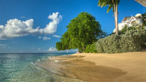 Best Time To Visit Barbados