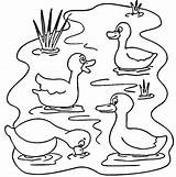 Estanque Colorear Ducks Stagno Canard Animali Itik Estanques Lac Dello Frog Vilain Mewarna Disegno Colouring Five Ausmalbild Koleksi Yang Coloriages sketch template