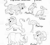 African Coloring Savanna Animals Pages Getdrawings Getcolorings sketch template
