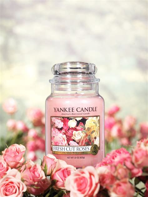 yankee candle deal    large candles  insanely good