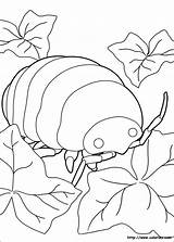 Arrietty Borrower Colorear Chapardeurs Hostile Rats Desenho Fargelegging Coloriez Hemmelige Verden Insects Méfier Doit Diminutos sketch template