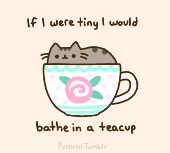 pusheen pusheen  cat photo  fanpop