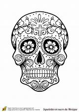 Sucre Squelette Arabesques Hugolescargot Mort Arabesque Coloriages Tete Calavera Mexique Decoree Tête Escargot Skulls sketch template