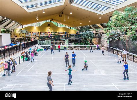 jardin des sports  center parcs longleat forest wiltshire stock photo royalty  image
