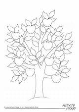 Tree Colouring Pages Coloring Fruit Banyan Getcolorings Printable Color sketch template