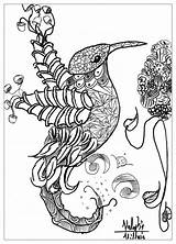 Coloring Pages Bird Animal Animals Adults Printable Complex Abstract Detailed Adult Birds Valentin Kids Print Mandala Cat Library Clipart Popular sketch template