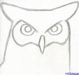 Easy Beginners Sketching Draw Drawing Things Drawings Sketches Step Sketch Cool Simple Great Owl Beginner Pencil Kids Horned Animals Paintingvalley sketch template