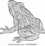 Zentangle Visit Coloring Pages Frog sketch template