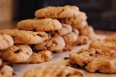 mb s treasurista chocolate chunk peanut butter cookies