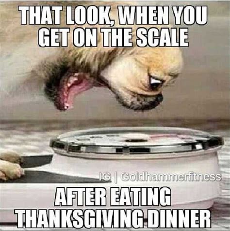 31 Funny Thanksgiving Memes To Get Ready For Turkey Day