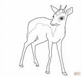 Dik Coloring Pages Male Drawing Antelope Supercoloring Antelopes Categories sketch template