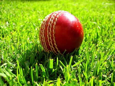 world sports picture cricket ball