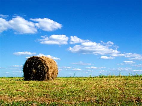hay bale  photo  freeimages