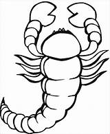 Scorpio Scorpion sketch template