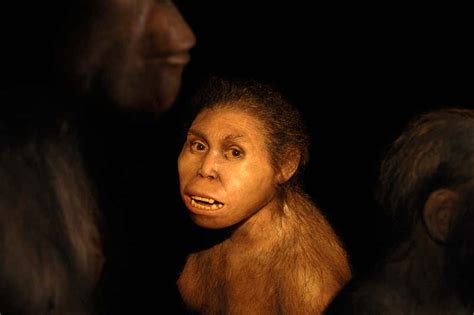 Mystery Hominin Had Sex With Ancestors Of Neanderthals And Denisovans