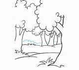 Drawing Easy Ecosystem Forest Tree Draw Simple Cartoon Palm Drawings Paintingvalley Collection Getdrawings sketch template