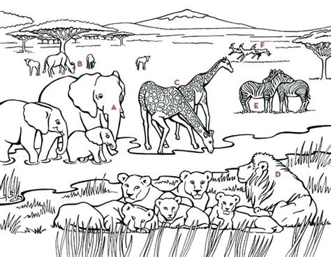 afrikaans coloring pages learny kids