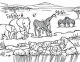 Coloring Grassland Pages Safari African Ecosystem Drawing Grasslands Afrikaans Printable Color Getdrawings Print Savanna Kids Getcolorings Search Open Again Bar sketch template
