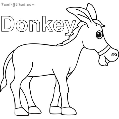 mammals coloring pages donkeys   cute  unique animals