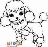 Poodle Webpage Hund Zeichnen Maltese Zeichnungen sketch template