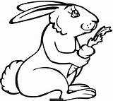 Rabbit Outline Clipart Pages Colouring Library sketch template
