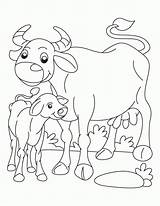 Coloring Calf Buffalo Pages Bills Color Cow Kids Popular Printable Getcolorings Choose Board Coloringhome Calves sketch template