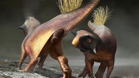 scientists just learned a lot more about dinosaur butts here s what
