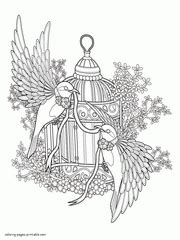 bird coloring pages  adults coloring pages