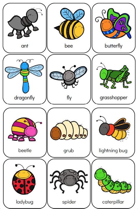 printable preschool bug activities  kids bugs preschool insects