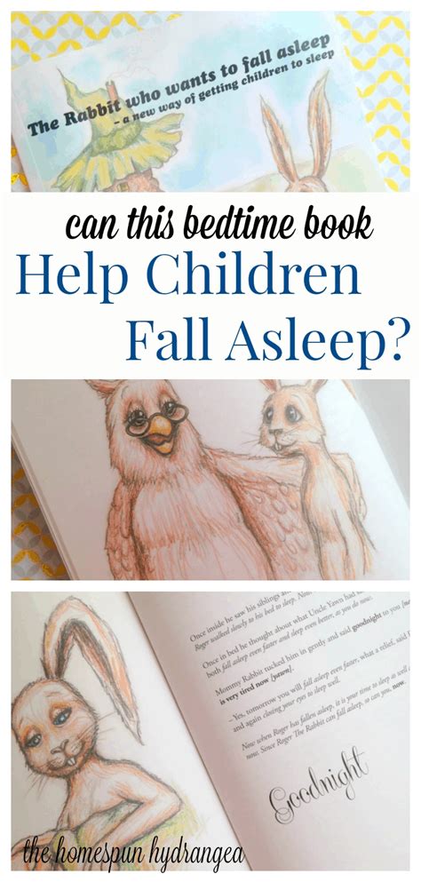 the rabbit who wants to fall asleep book review the homespun hydrangea