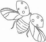 Colorat Gargarita Fise Planse Buburuze Insecte Desen Gargarite Imagini Copii Pentru Gradinita Lucru sketch template