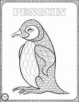 Coloring Penguin Pages Animal Adults Print Play sketch template