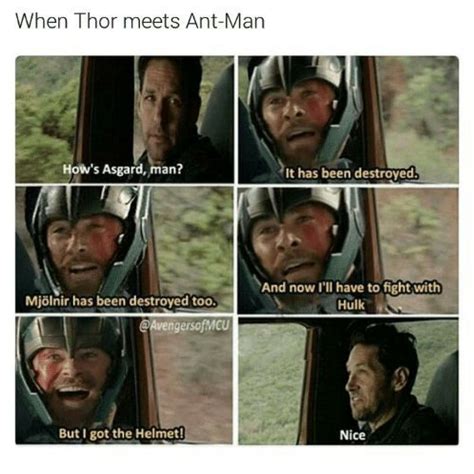 21 Hilarious Ant Man And The Wasp Memes That Will Make You
