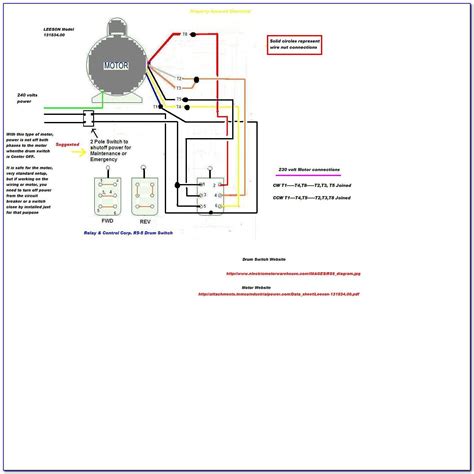 leeson motor wiring diagram  prosecution