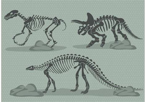 dinosour bones  printable dinosaur bones dinosaur bones dog bone