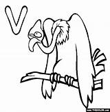 Vulture Coloring Letter Pages Color Animals Animal Alphabet Thecolor Starting Fish Boyama Kaynak sketch template