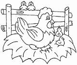 Chicken Coloring Pages Printable Fried Chickens Colouring Sheets Drawing Color Print Hen Preschool Kids Animals Cute Crafts Farm Animal Sheet sketch template