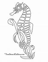 Seahorse Stencils Stained Freestencilgallery Pumpkin Seahorses Etching sketch template