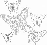 Coloring Butterflies Pages Printable Choose Board Summer Color Adult Butterfly Number sketch template