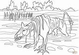 Coloring Bunyip Pages Drawing sketch template