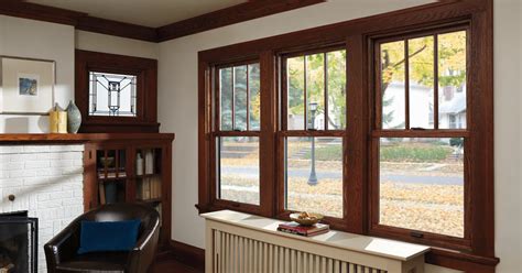 evolution  wood windows andersen  series