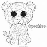 Beanie Boos Koala Plushy Xcolorings Kooky Maddie sketch template
