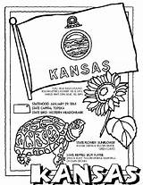 Kansas Coloring Pages Crayola State Flag Printable Facts Seal Kids Color States Arizona Book Oklahoma Symbols Worksheets Sheets Flower Flags sketch template
