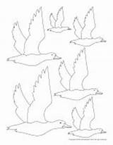 Birds Migratory Bird Color Models Educatall Them Invite Child Cut Each Children Open Print sketch template