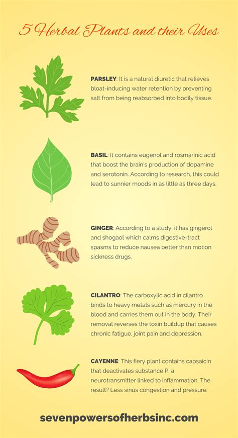 learn    herbal plants     visiting  powers  herbs