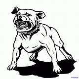 Pitbull Angry Dog Tattoo Barking Tattooimages Biz sketch template