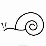 Caracol Snail Library Schnecke Lumaca Colorare Svg Ausmalbilder Vectorified Ultracoloringpages sketch template