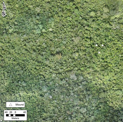 orthophoto  forest canopy  sak mut  gps recorded locations  scientific