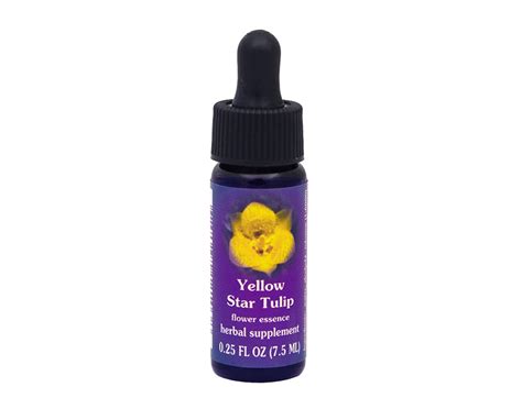Yellow Star Tulip Flower Essence Rebecca S Herbal Apothecary